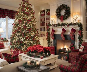 Kals Inspection Blog 2 What’s Hiding in Your Attic or Basement This Christmas? Indoor Air Quality Risks Charlotte Homeowners Overlook