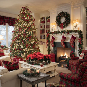 What’s Hiding in Your Attic or Basement This Christmas? Indoor Air Quality Risks Charlotte Homeowners Overlook