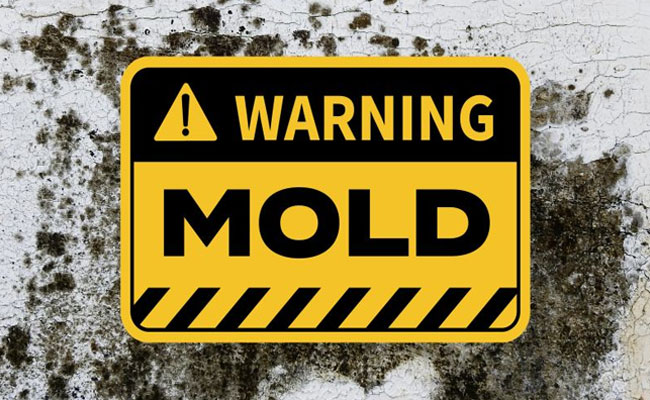 mold-testing-fort-mill-sc